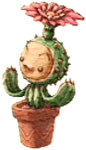Li'l Cactus