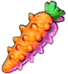 Spiny Carrot