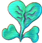 Heart Mint